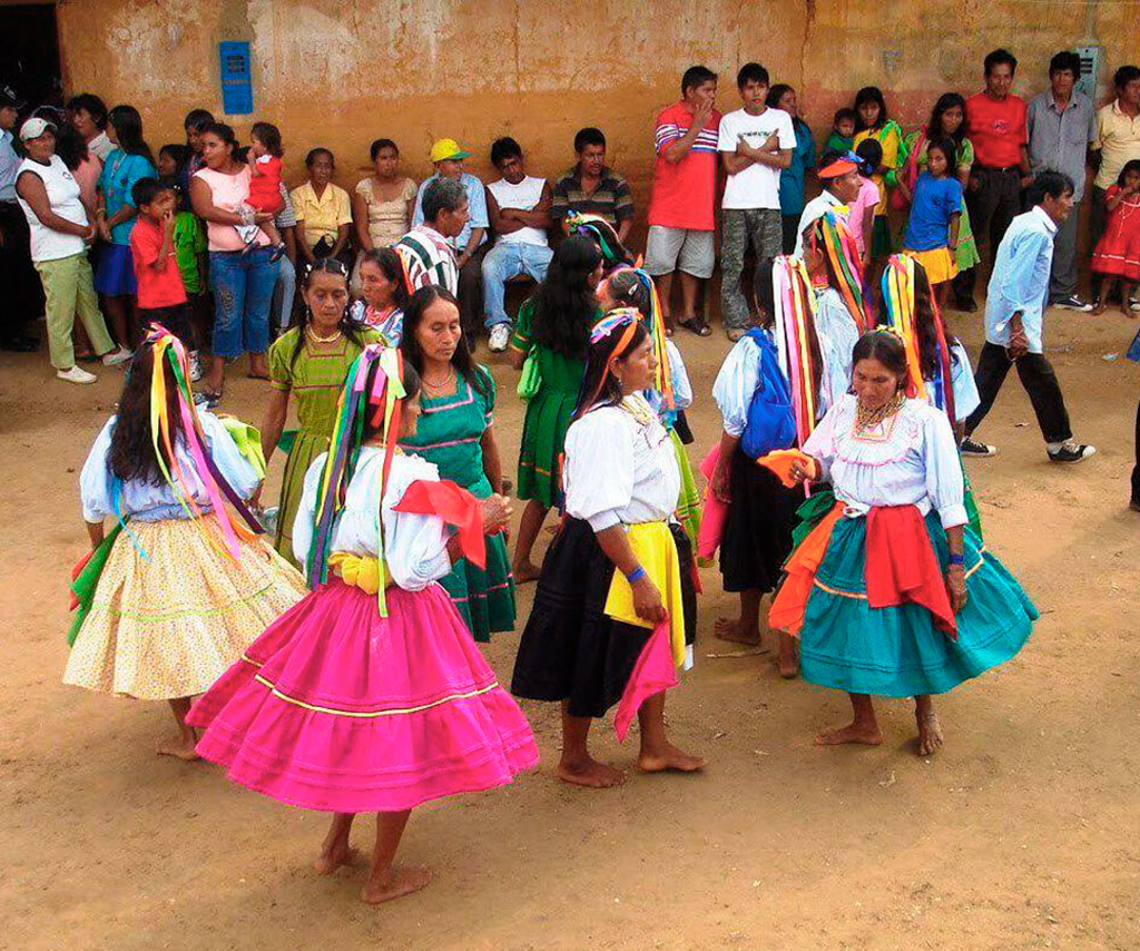 Foto 4 de Lamas