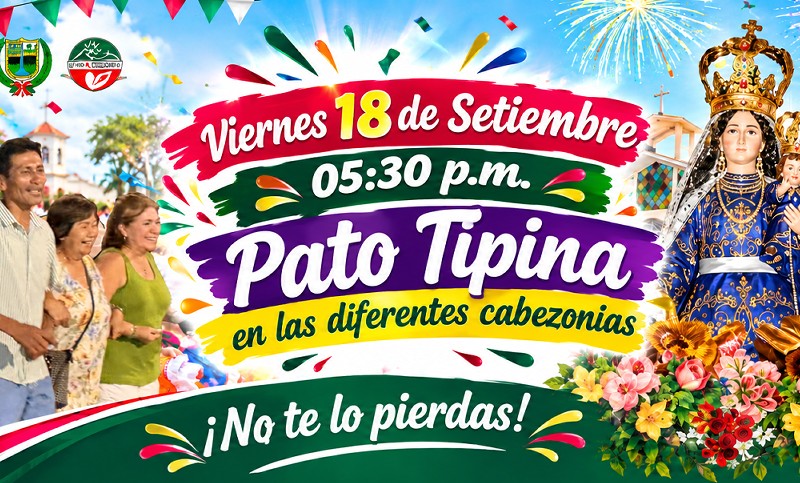 Pato Tipina